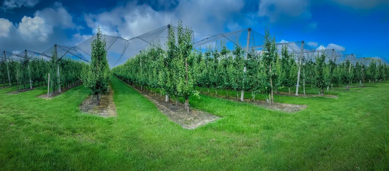 Hof Van Repen Tongeren Esterno foto